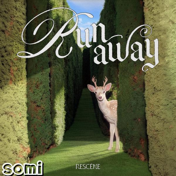 Image Cover