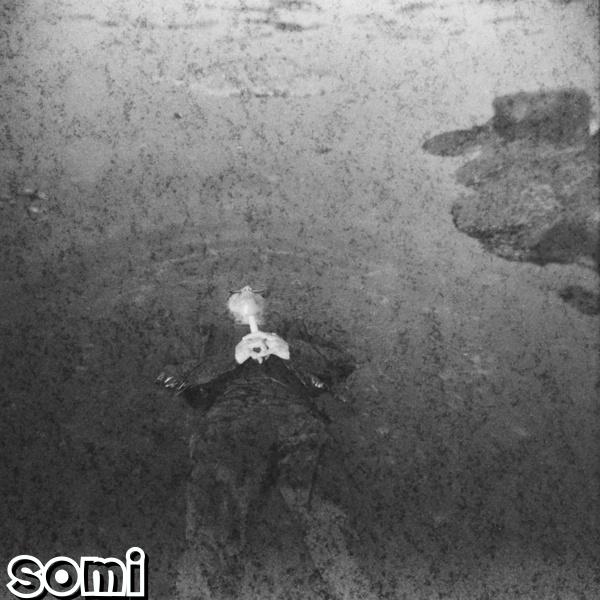 Image Cover