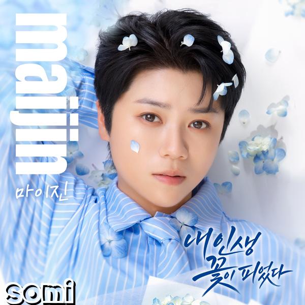 Image Cover