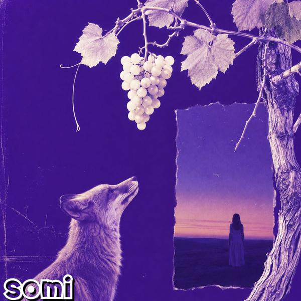 Image Cover