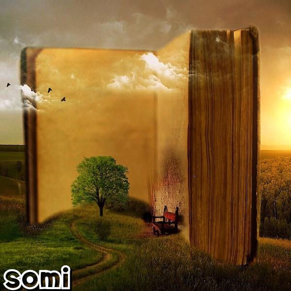 Image Cover