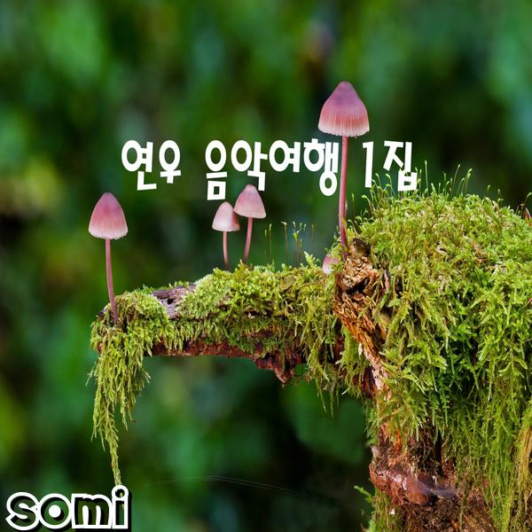 Image Cover