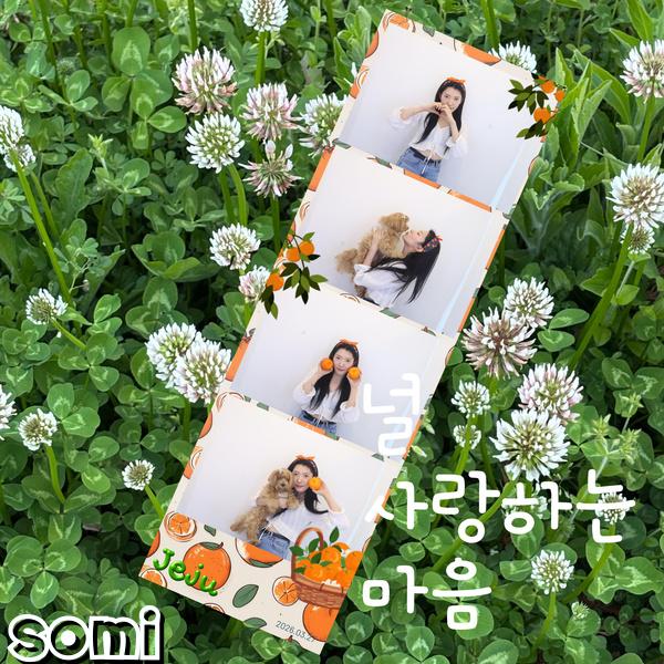 Image Cover
