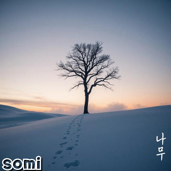 Image Cover