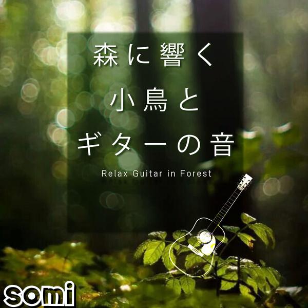 Image Cover